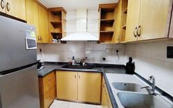 Tanglin View (D3), Condominium #565051231